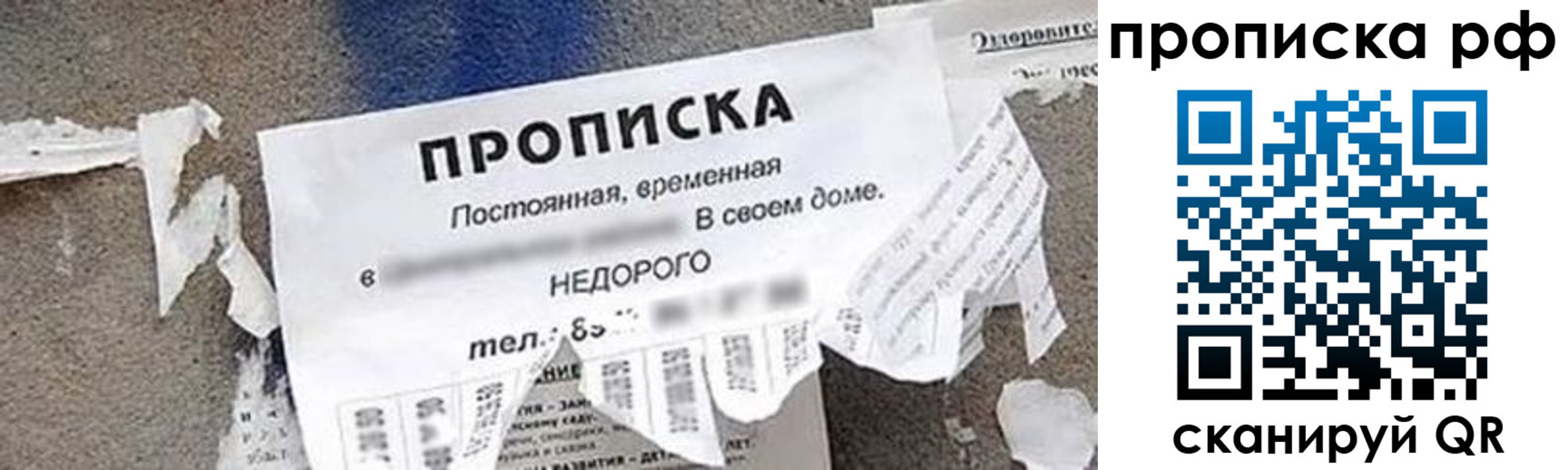 где прописаться в Звенигово